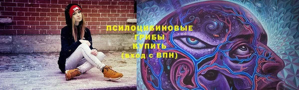мдпв Красноперекопск