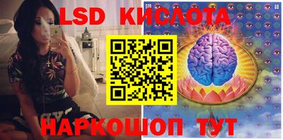 стафф Гусев