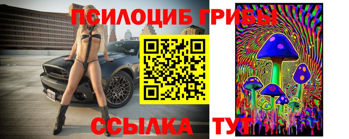 Галлюциногенные грибы Psilocybe Карасук