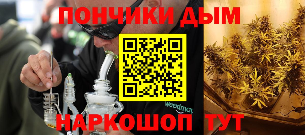 Канабис планчик Карасук
